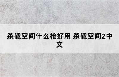 杀戮空间什么枪好用 杀戮空间2中文